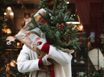 Ziemassvetku eglites