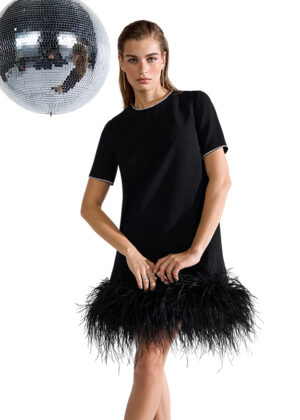 Kleita ar spalvu apakšmalu un mirdzošu apdari